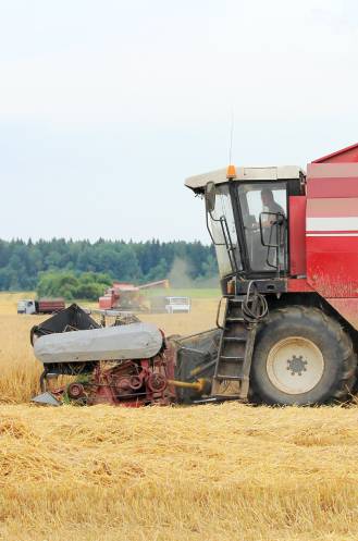 cleaning-home-1682419461