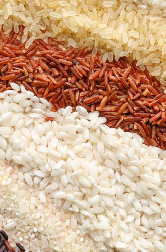 grading-sorting-1682419465